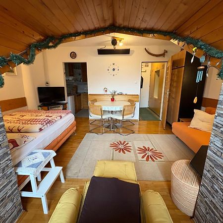 Apartma Snezko 克拉尼斯卡戈拉 外观 照片