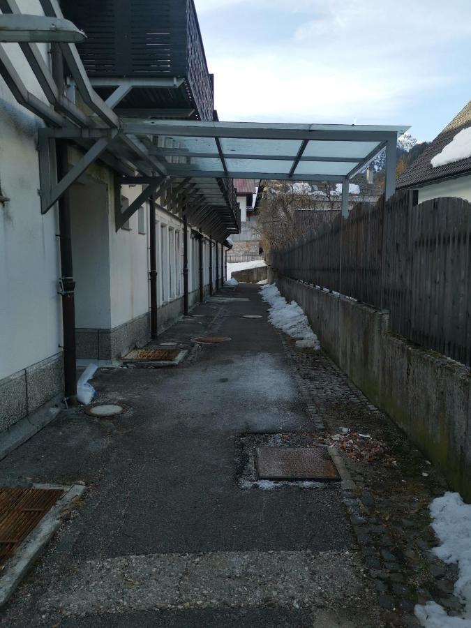 Apartma Snezko 克拉尼斯卡戈拉 外观 照片