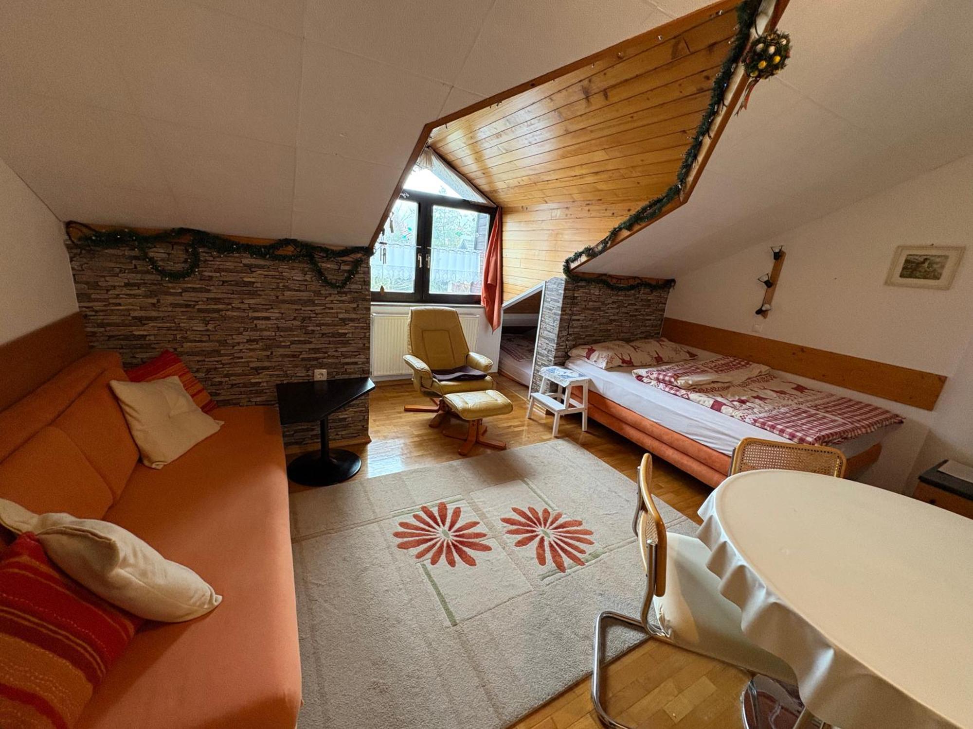 Apartma Snezko 克拉尼斯卡戈拉 外观 照片