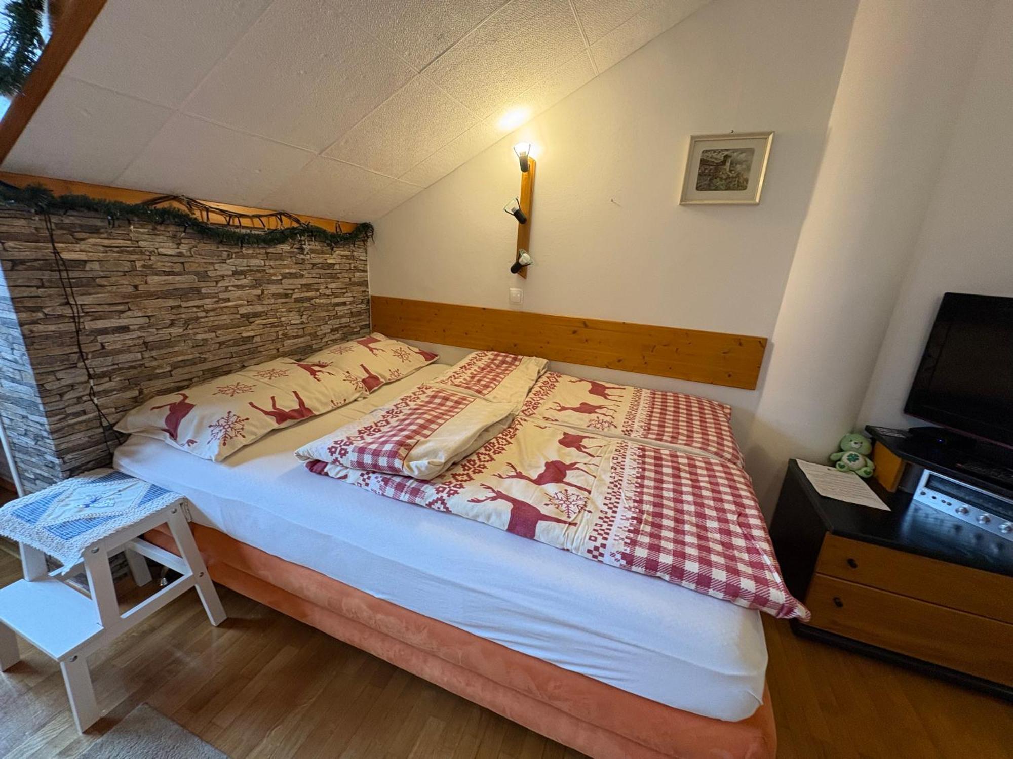 Apartma Snezko 克拉尼斯卡戈拉 外观 照片