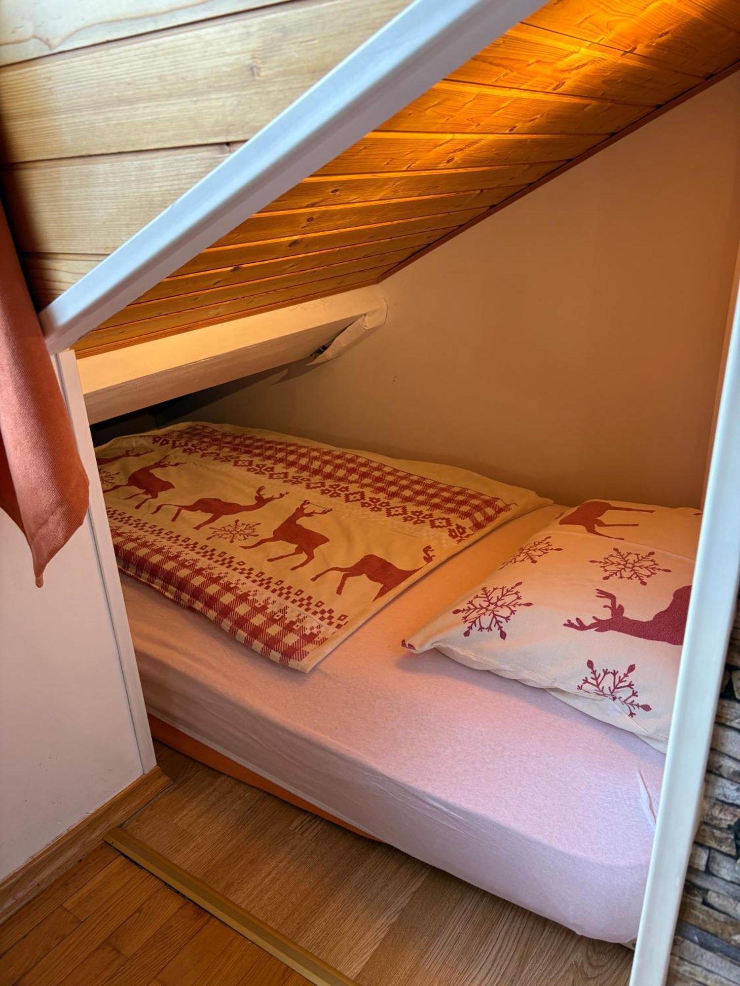 Apartma Snezko 克拉尼斯卡戈拉 外观 照片