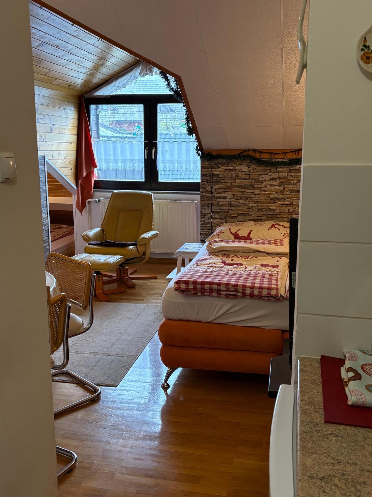 Apartma Snezko 克拉尼斯卡戈拉 外观 照片