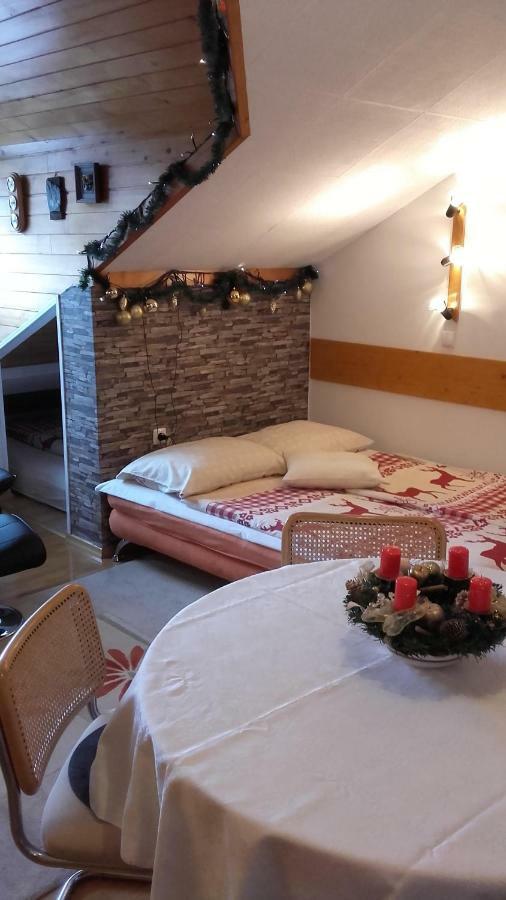 Apartma Snezko 克拉尼斯卡戈拉 外观 照片